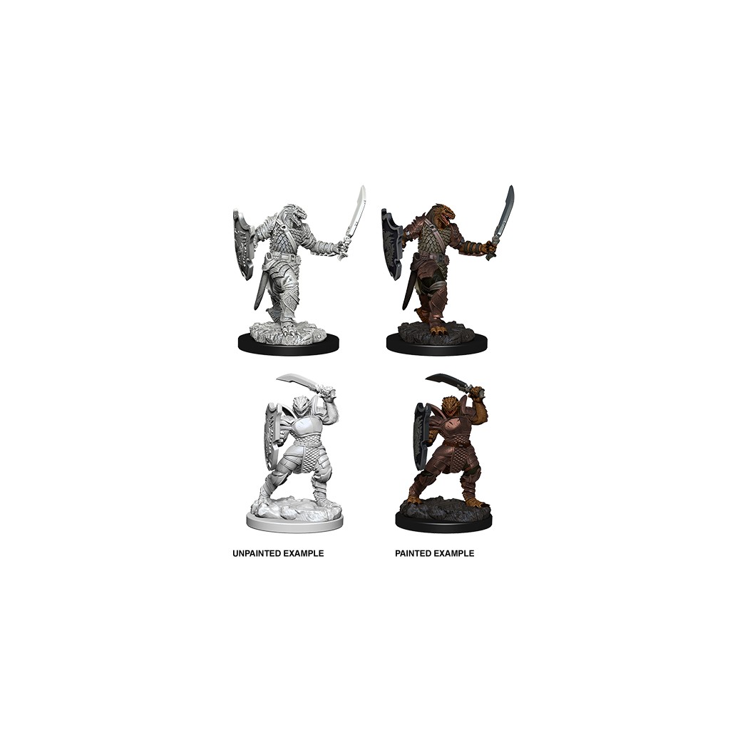 D&D Nolzur's Marvelous Unpainted Miniatures: Dragonborn Female Paladin