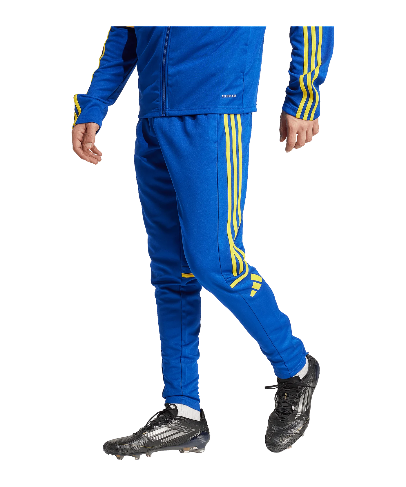 adidas Squadra 25 Trainingshose Blau