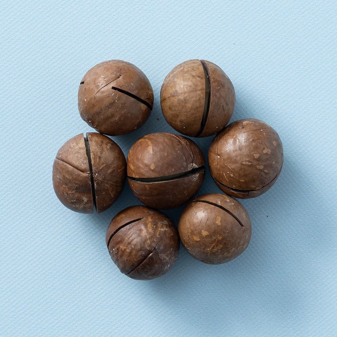 Macadamia noten in dop geroosterd gezouten