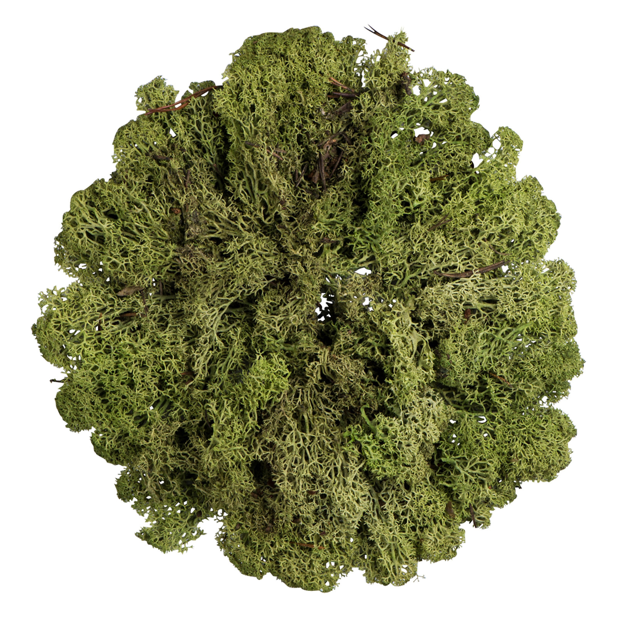 grün, 50 g