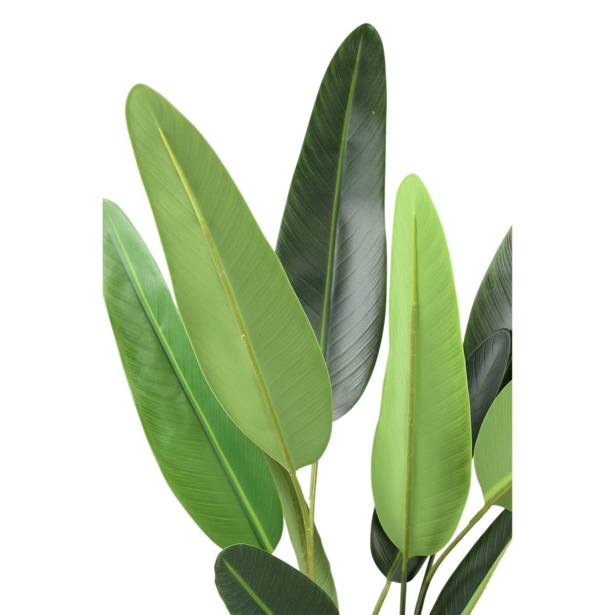 Ptmd plante artificielle boom - 70x80x120 cm - plastique - marron