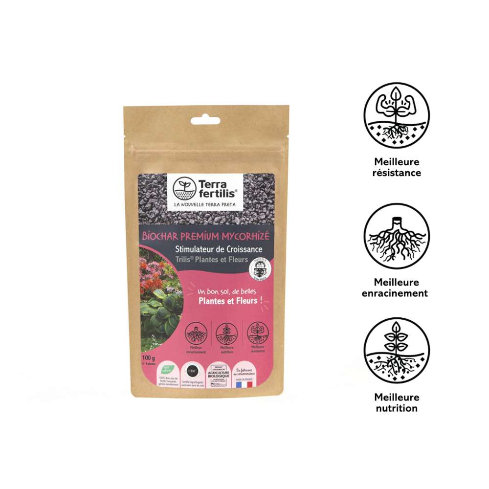 Fertilisant plantes et fleurs à base de mycorhizes - 100g