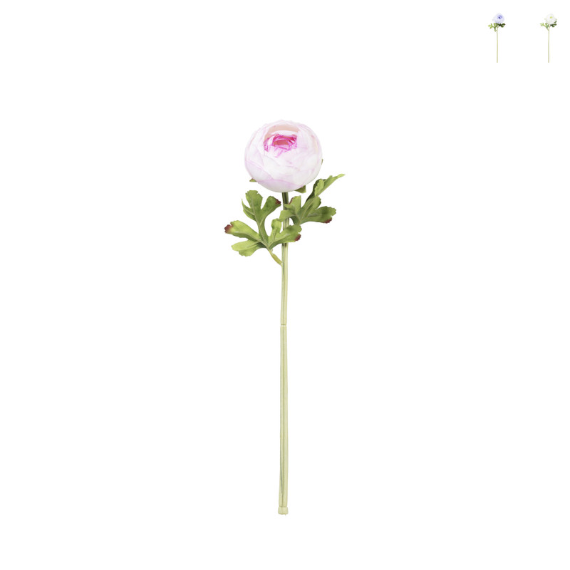 Ranonkel - diverse kleuren - 33 cm