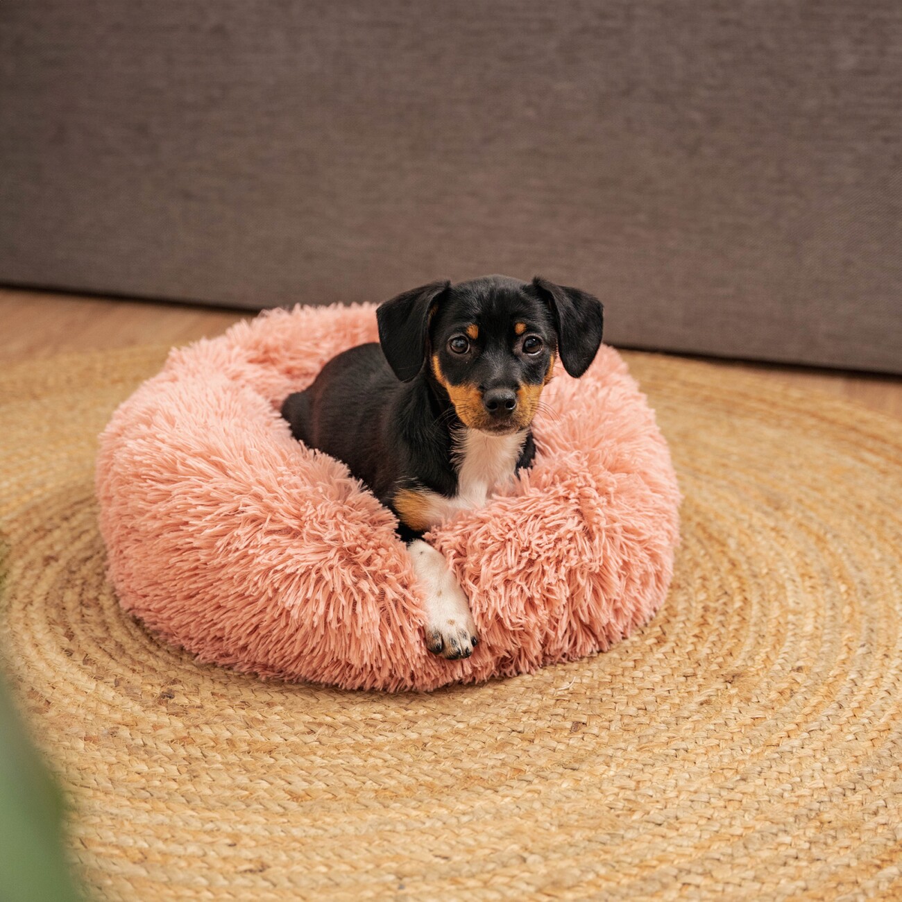 Lionto Donutbett rosa S