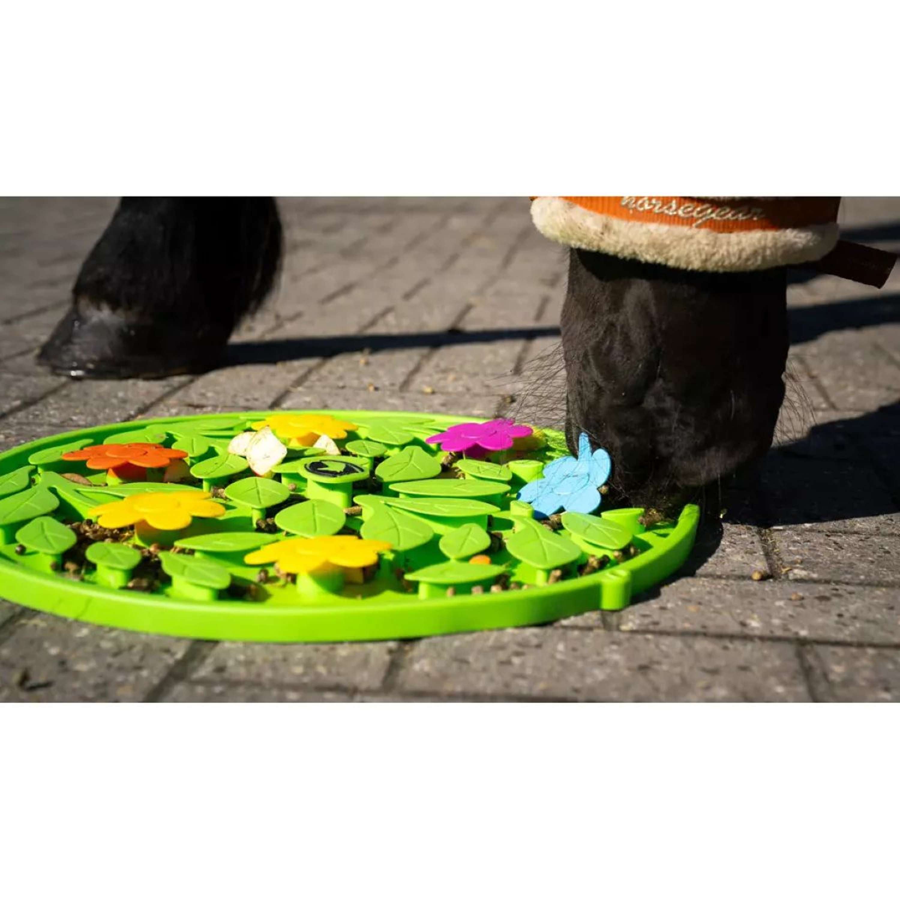 Excellent Snuffelmat Horse Flower Power