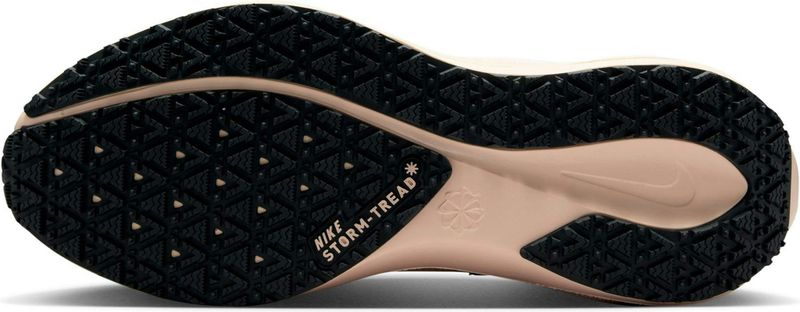 Nike Pegasus 41 Waterdichte Hardloopschoenen voor Dames - Gore-Tex - Sail Anthracite