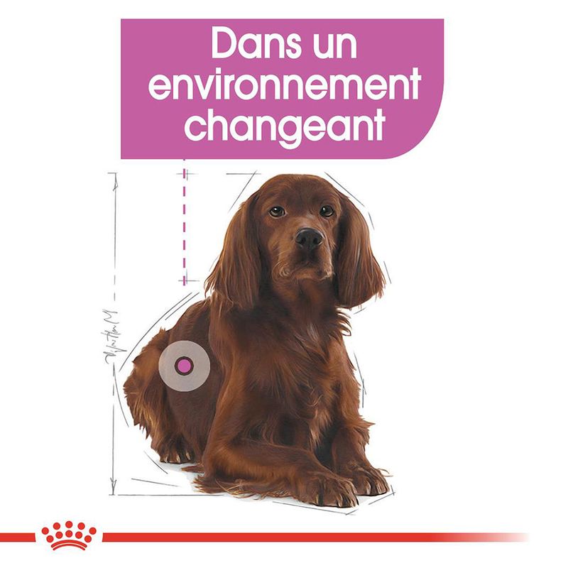 Royal Canin Relax Care Medium