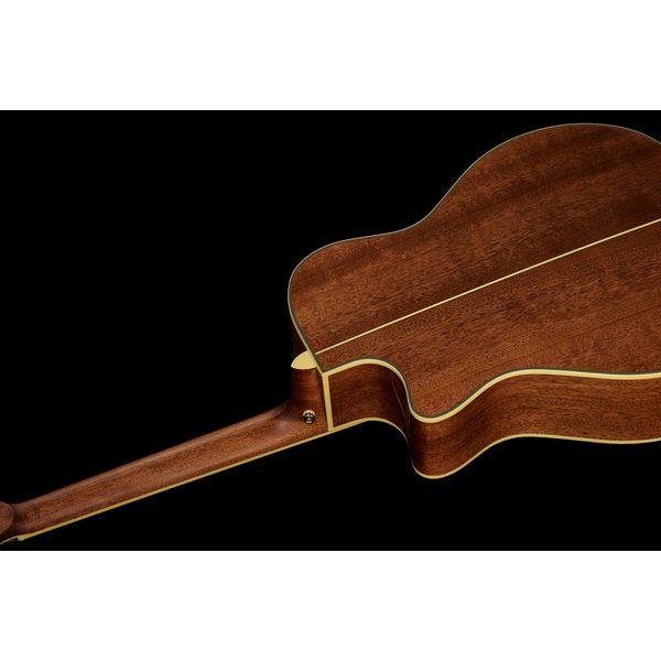 DAngelico Excel Gramercy Autumn Burst