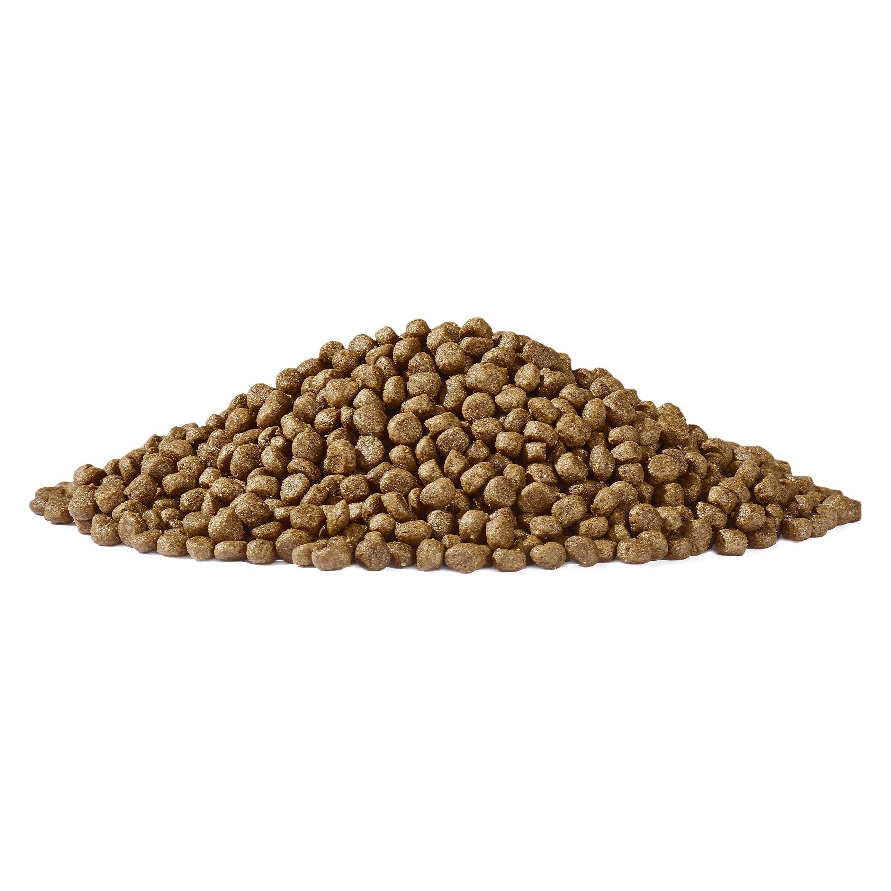 Dogs’n Tiger Junior Premium Katzenfutter, Flitzpiepe, Kitten Trockenfutter, Lachs & Truthahn