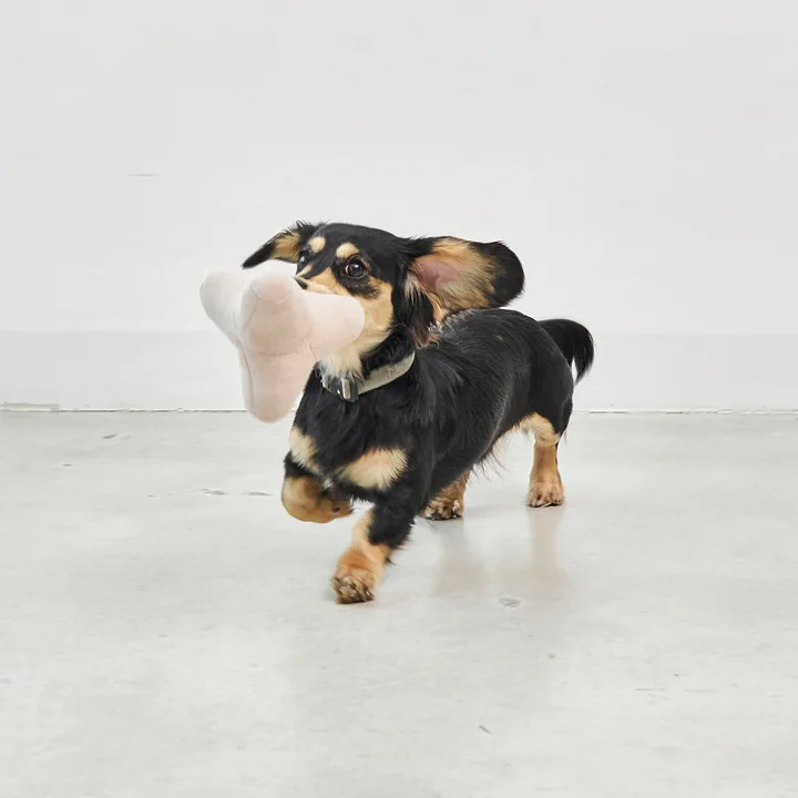 MiaCara - Quattro Hundespielzeug S, greige