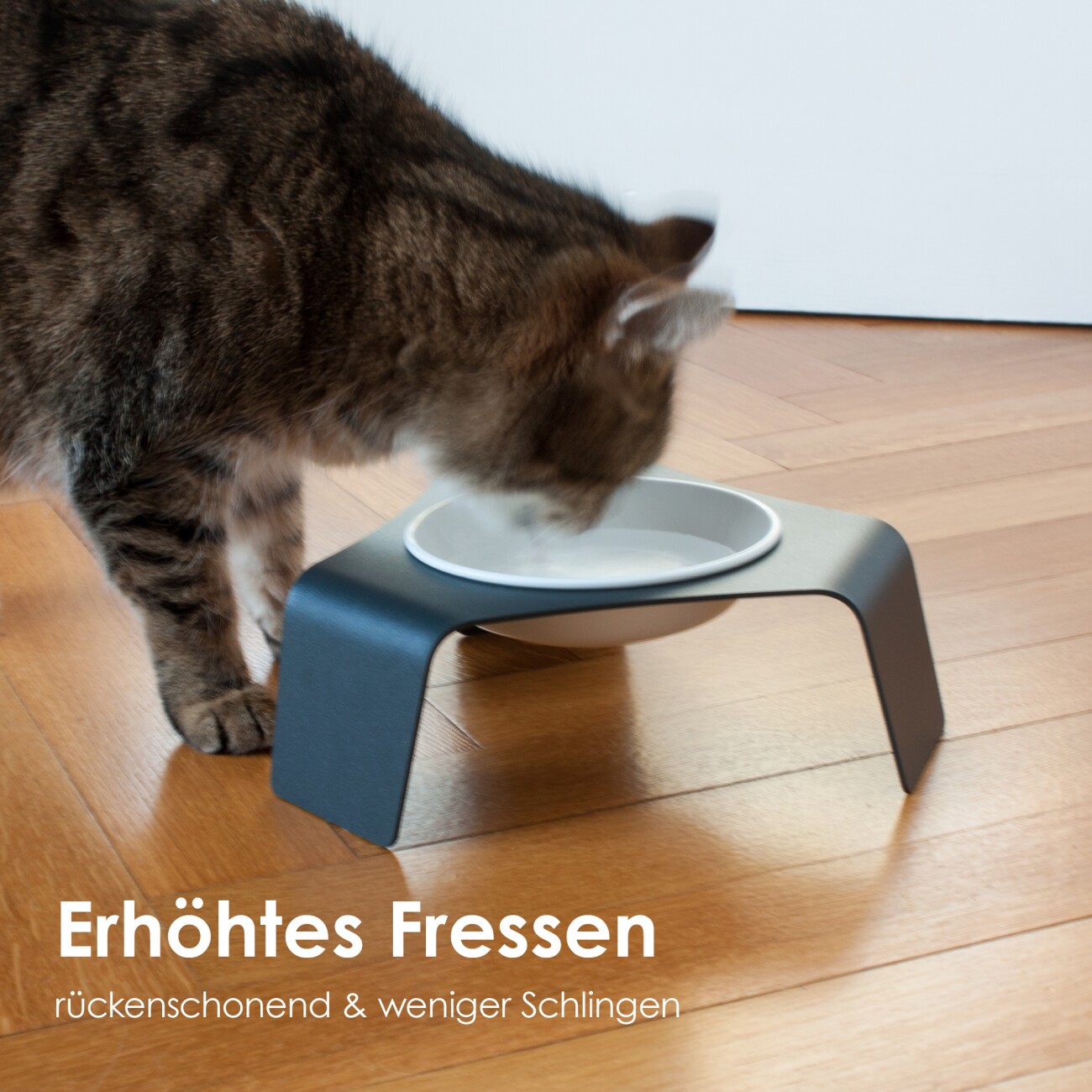 LucyBalu DELI Katzennapf erhöht / Melamin (1 Stück) anthrazit