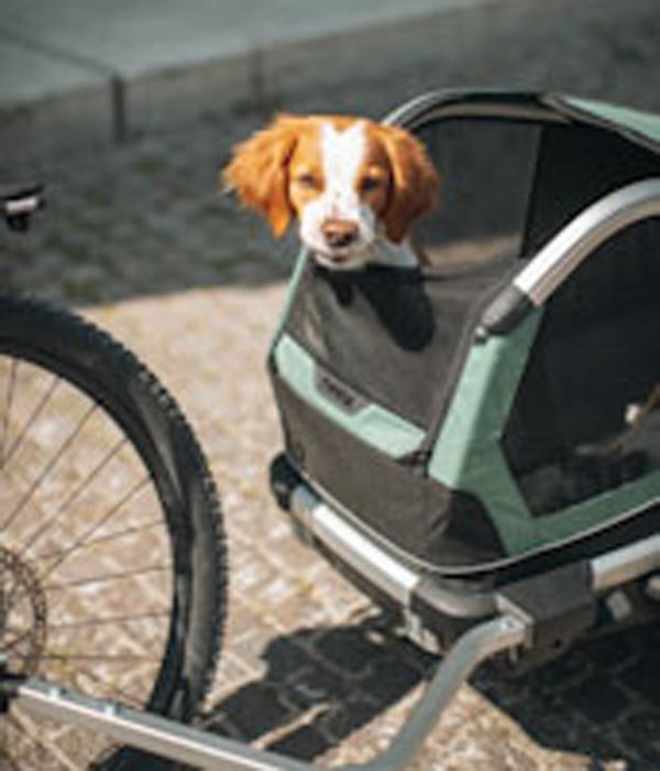 THULE® Bexey Hunde-Fahrradanhänger, Hazy