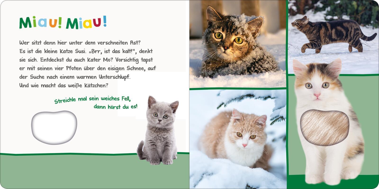 Hör mal rein, wer kann das sein? - Kleine Tiere im Schnee