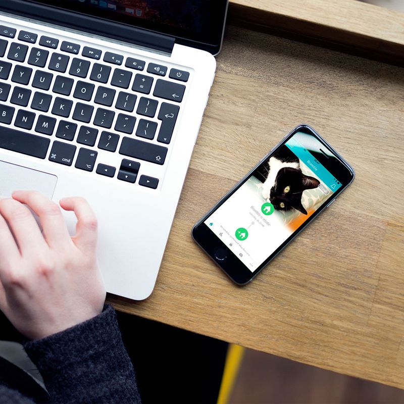 Grande chatière SureFlap Connect à puce électronique