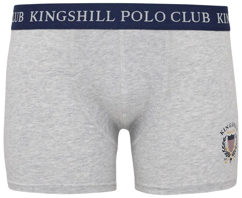 Kingshill Boxershorts Navy strib/grå 2-pak