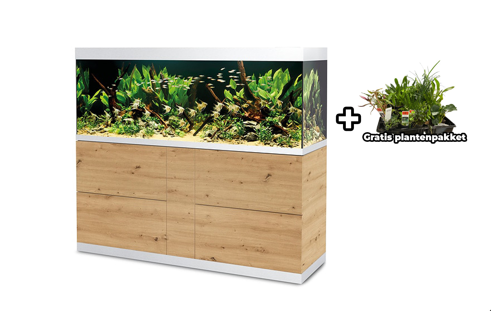 Oase HighLine 600 Optiwhite Set Wild Eiken | Nieuwe aquaria