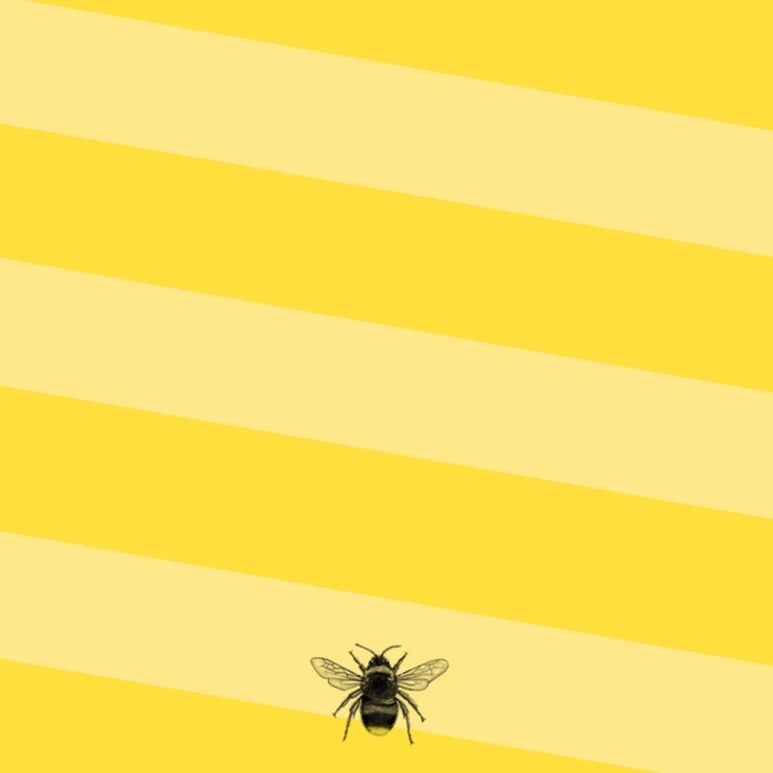 Greetz | Verjaardagskaart | happy bee-day