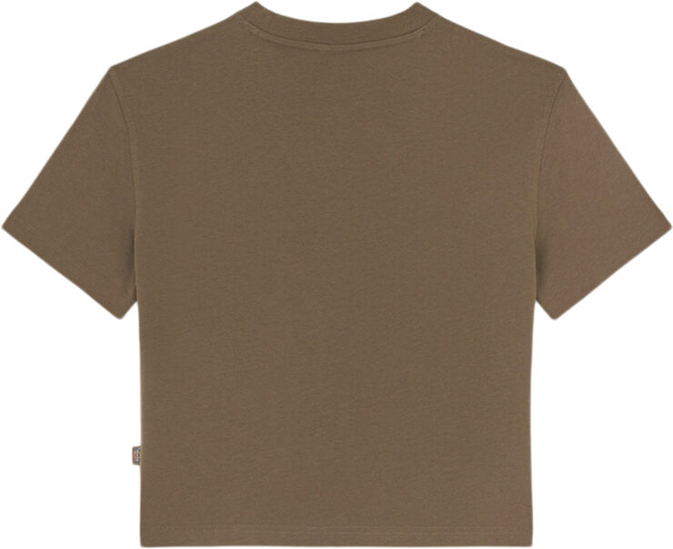 Dickies OAKPORT BOXY SS TEE MUSHROOM Mushroom