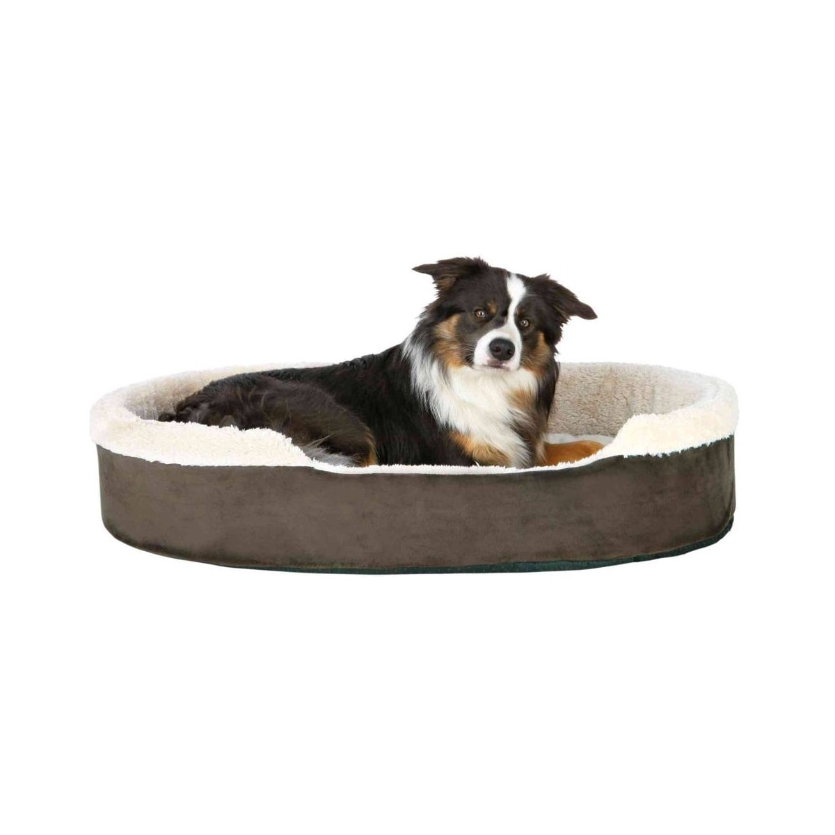 Hundeseng Cosma 60x50 brun/beige