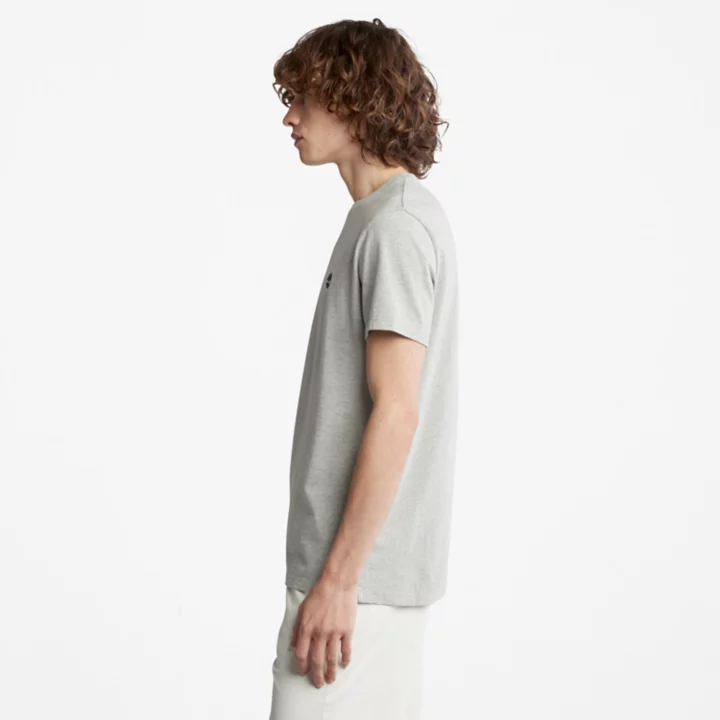 T-shirt Dunstan River pour homme en gris