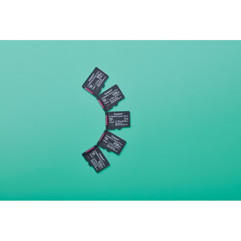 Kingston Technology 64GB micSDXC Canvas Select Plus Gen3 100R A1 (Adaptateur SD non inclus)