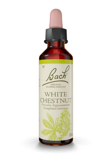 Fleurs de Bach® Original White Chestnut ( Marronnier blanc ) - 20 ml - Sentiment de Manque d'intérêt - Sérénité