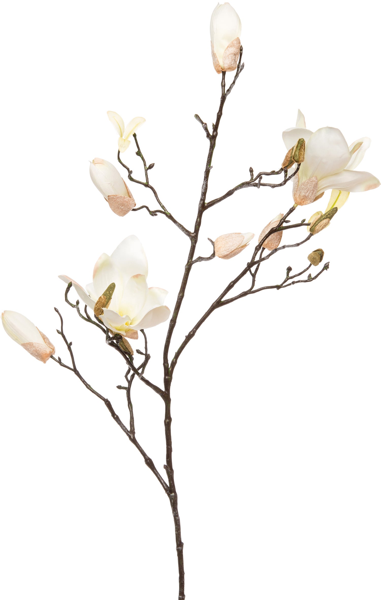 Intratuin kunsttak Magnolia wit H 95 cm