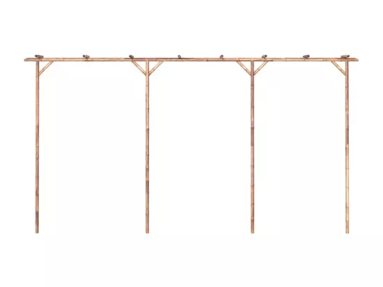 Pergola Bambou 385x40x205 cm