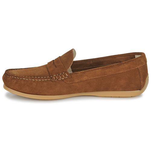 Casual Attitude - OSANA - Camel