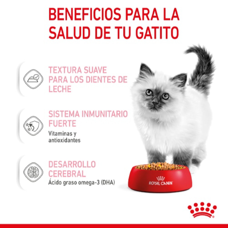 Ração úmida Royal Canin Kitten em sachê de gelatina para gatinhos.