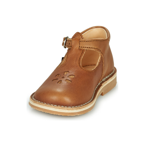 Aster - BIMBO - Cognac