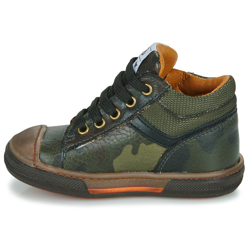 GBB - VAUBERT - Vert