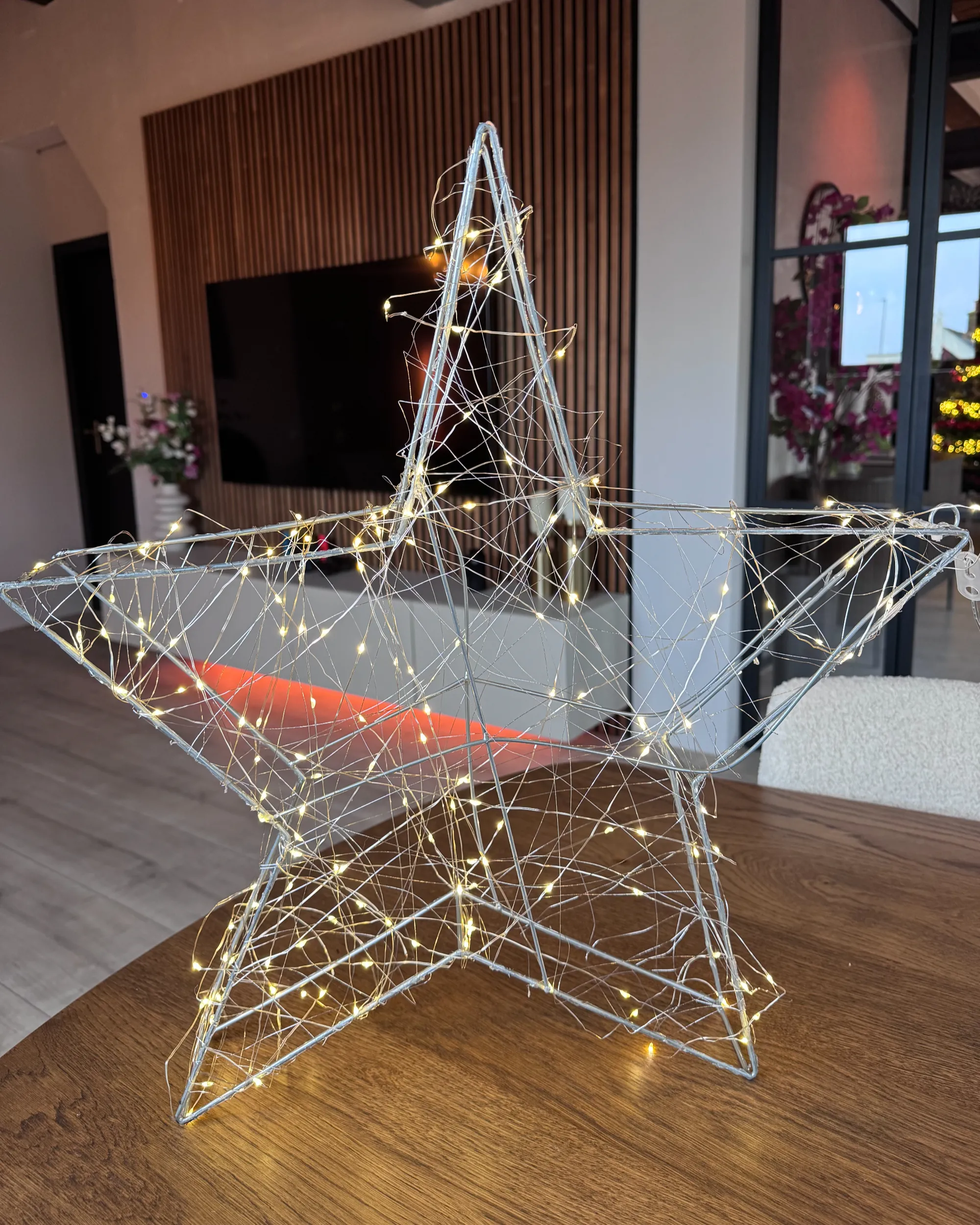 Hangende buitendecoratie LED KURULA Ster 58 cm Zilver