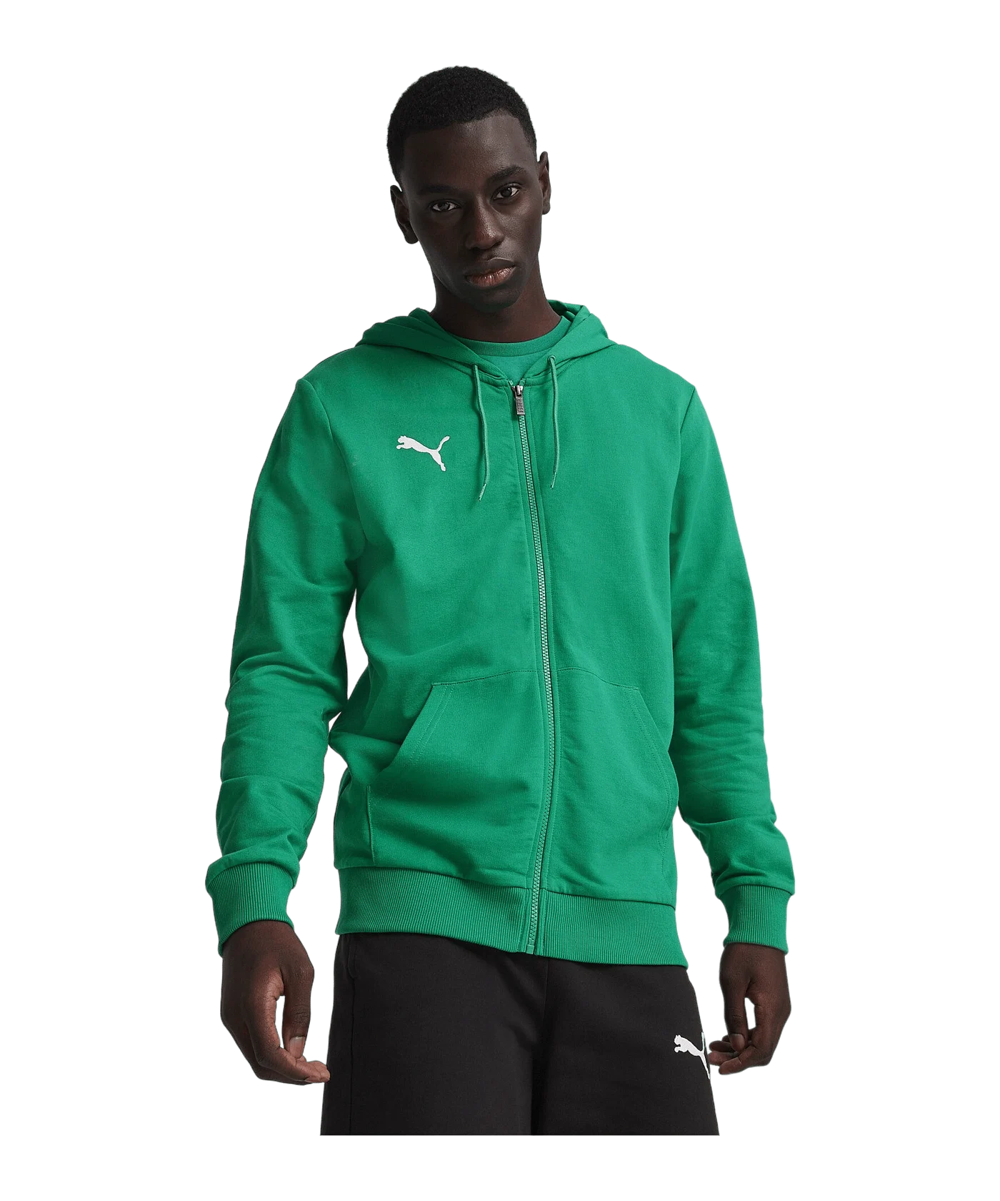 PUMA teamGOAL Casuals hooded jacket green F05