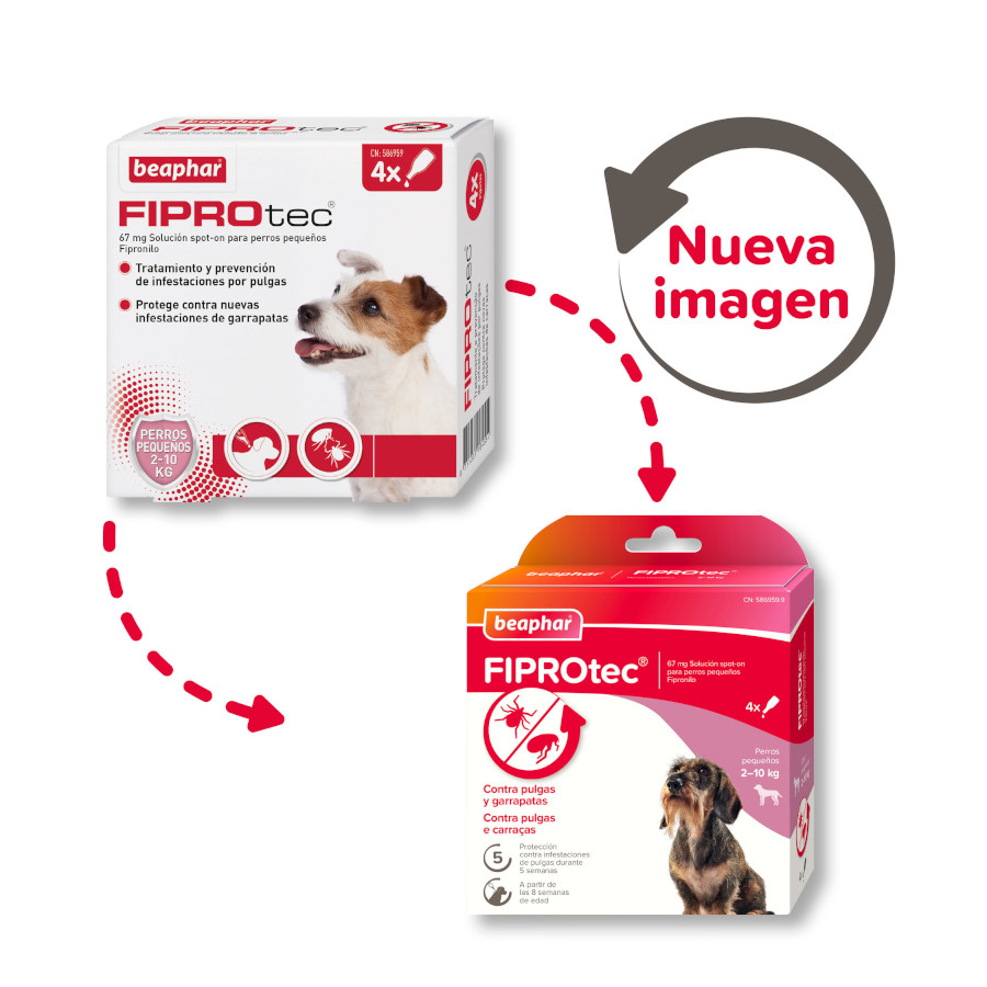 Pipetas Beaphar FiproTec para cães de raças pequenas