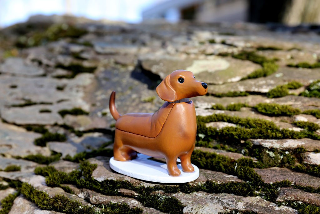 Solar Dachshund - Boudewijn (1612)
