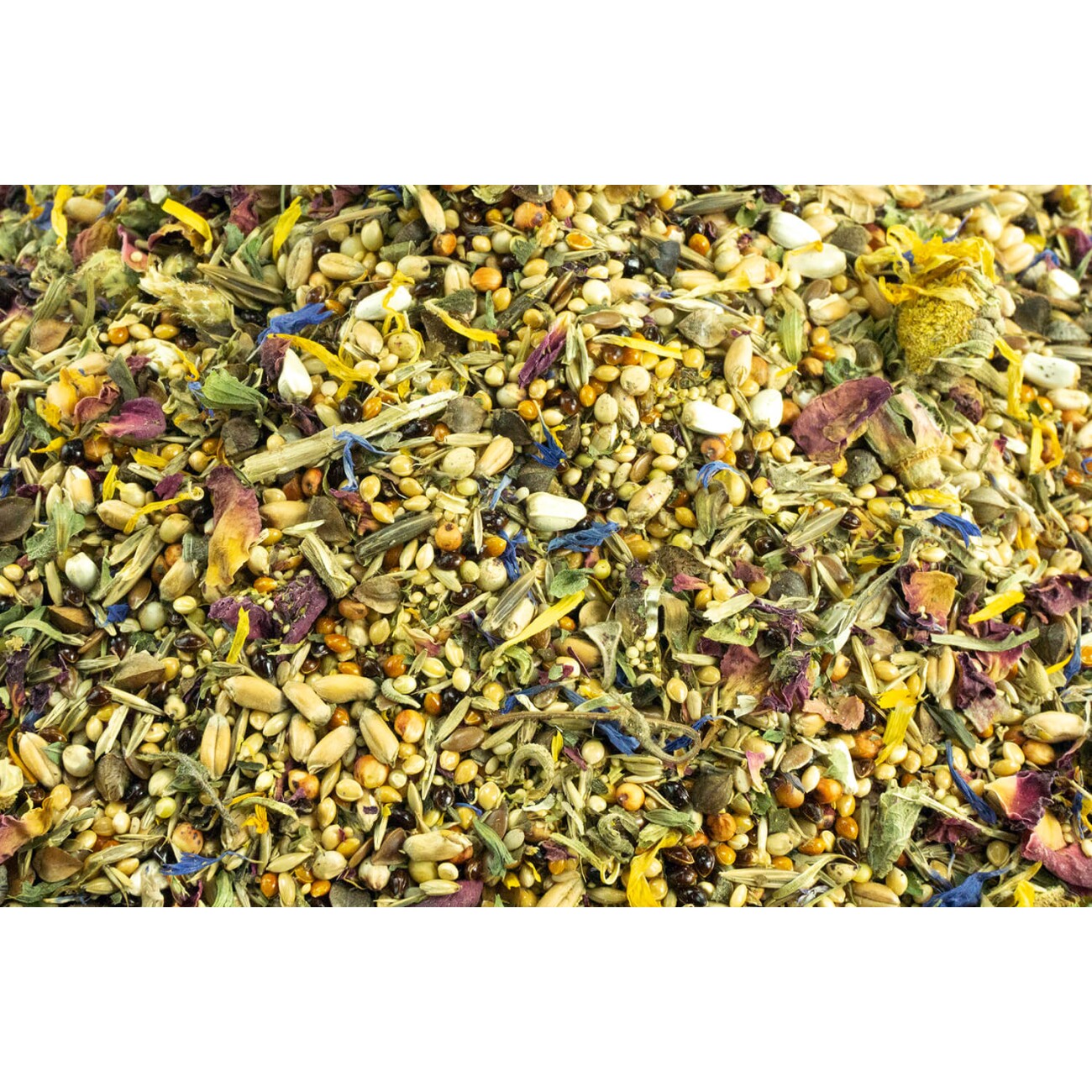 Getzoo Zwerghamster Basisfutter 500g