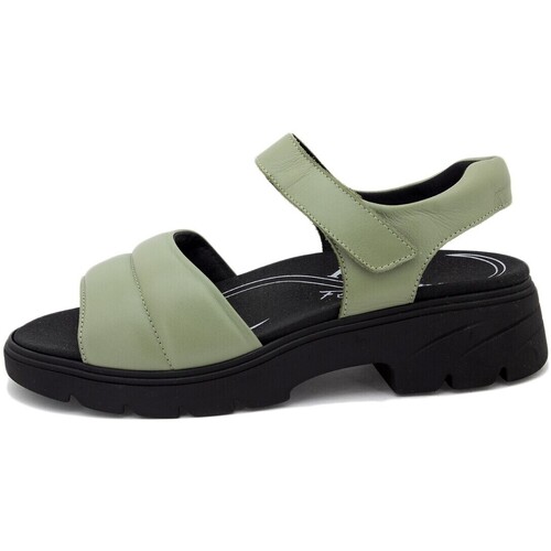 Piesanto - 230864 Verde