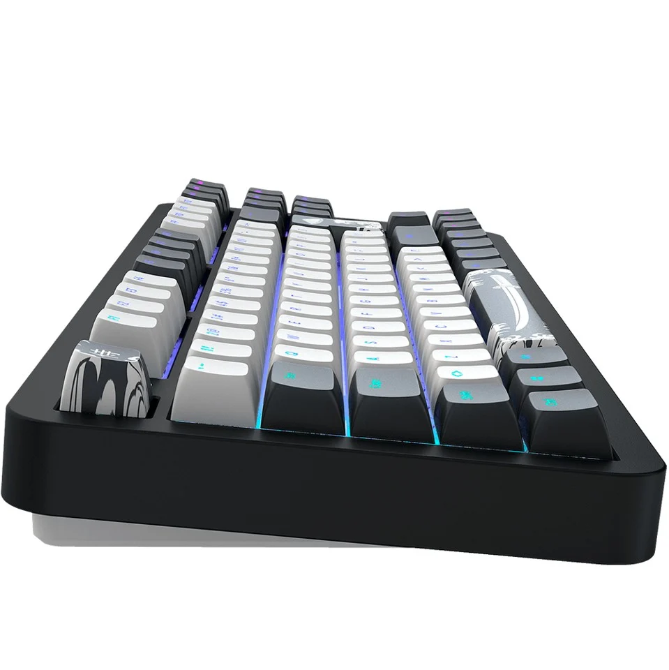 Dark Project - Bushido 87 RGB