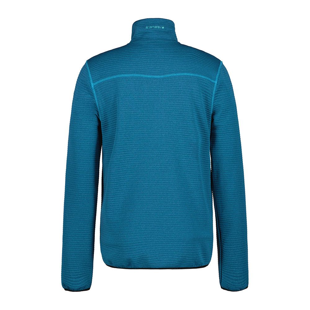 Icepeak BERTHOLD - Polaire Homme turquoise