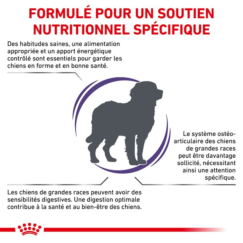 Royal Canin Expert Adult Large Dogs