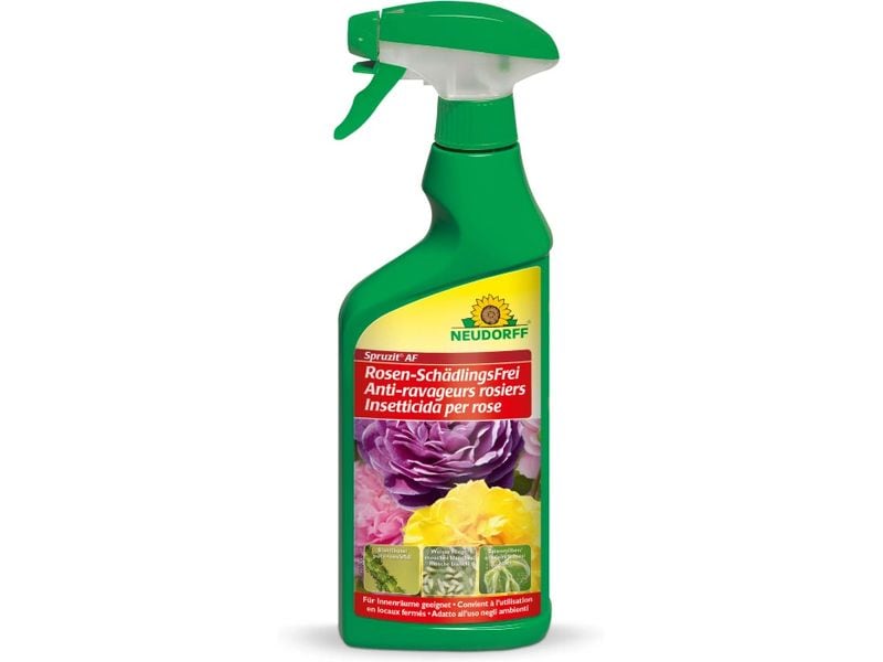 Neudorff Spruzit AF Rosenspray mit Sprüher 500 ml Bekämpft sowohl die ausgewachsenen Insekten als auch deren Larven und Eier