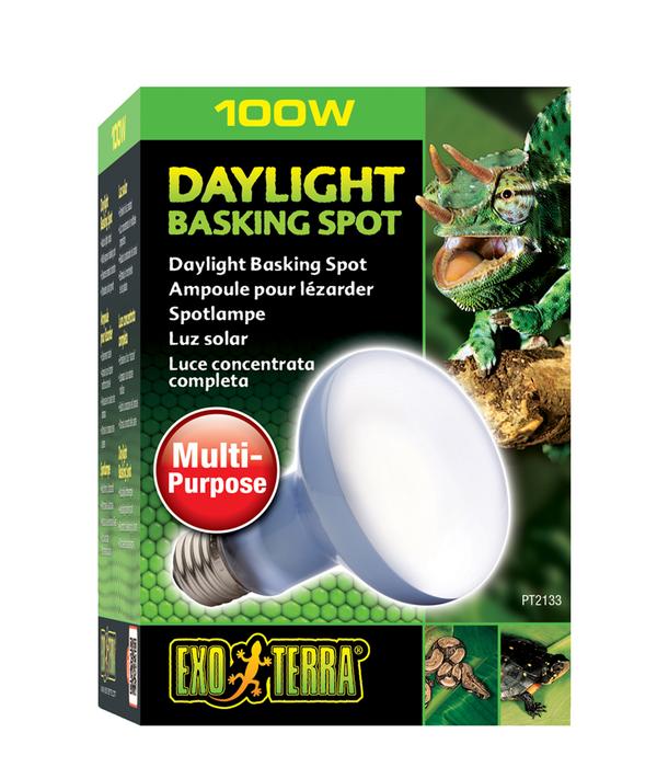 Exo Terra® Daylight Basking Spot