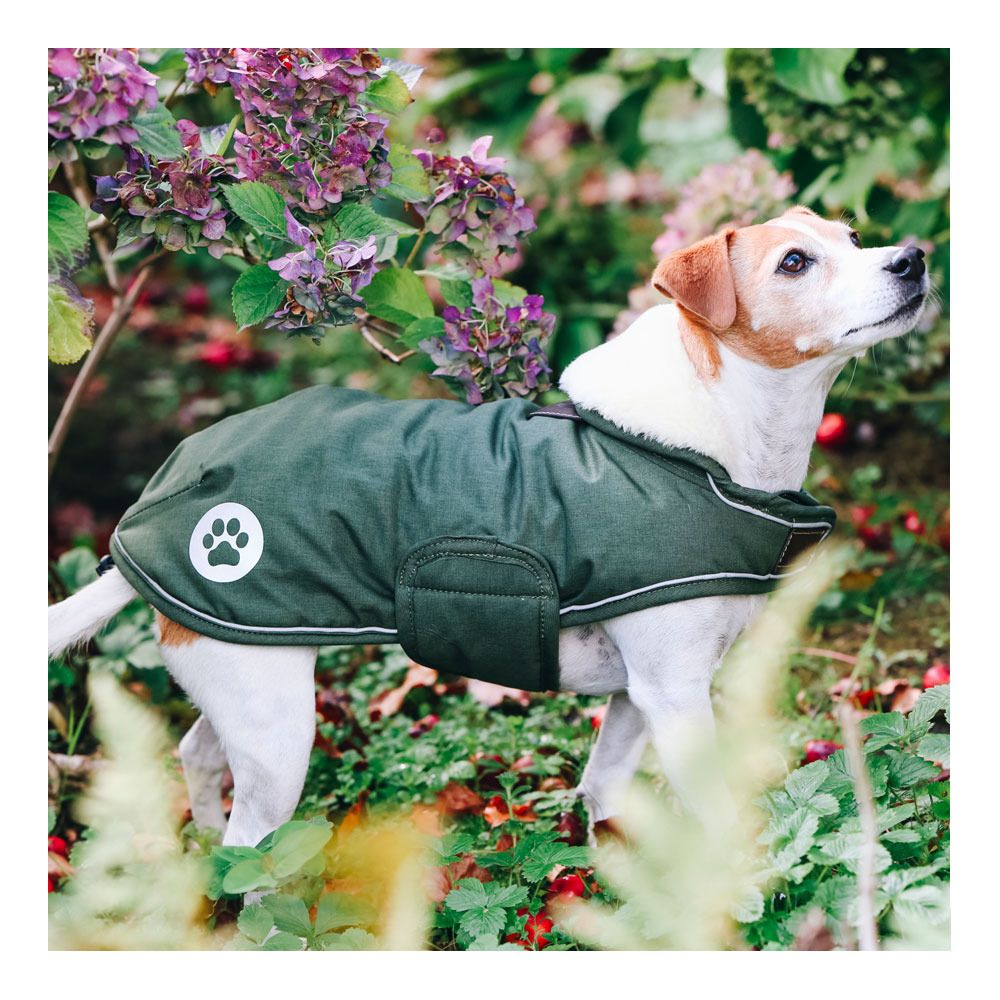 Kentucky WATERPROOF 300G - Couverture pour chien olive green