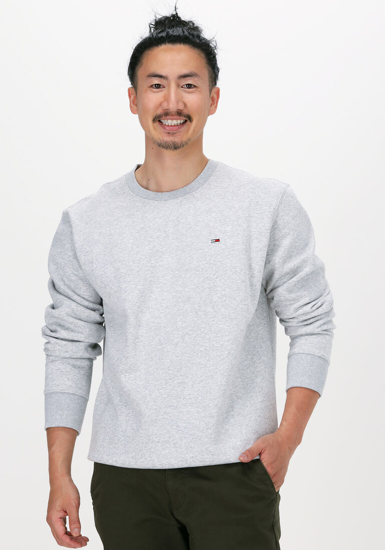TOMMY JEANS lichtgrijze tommy jeans sweater tjm regular fleece c neck
