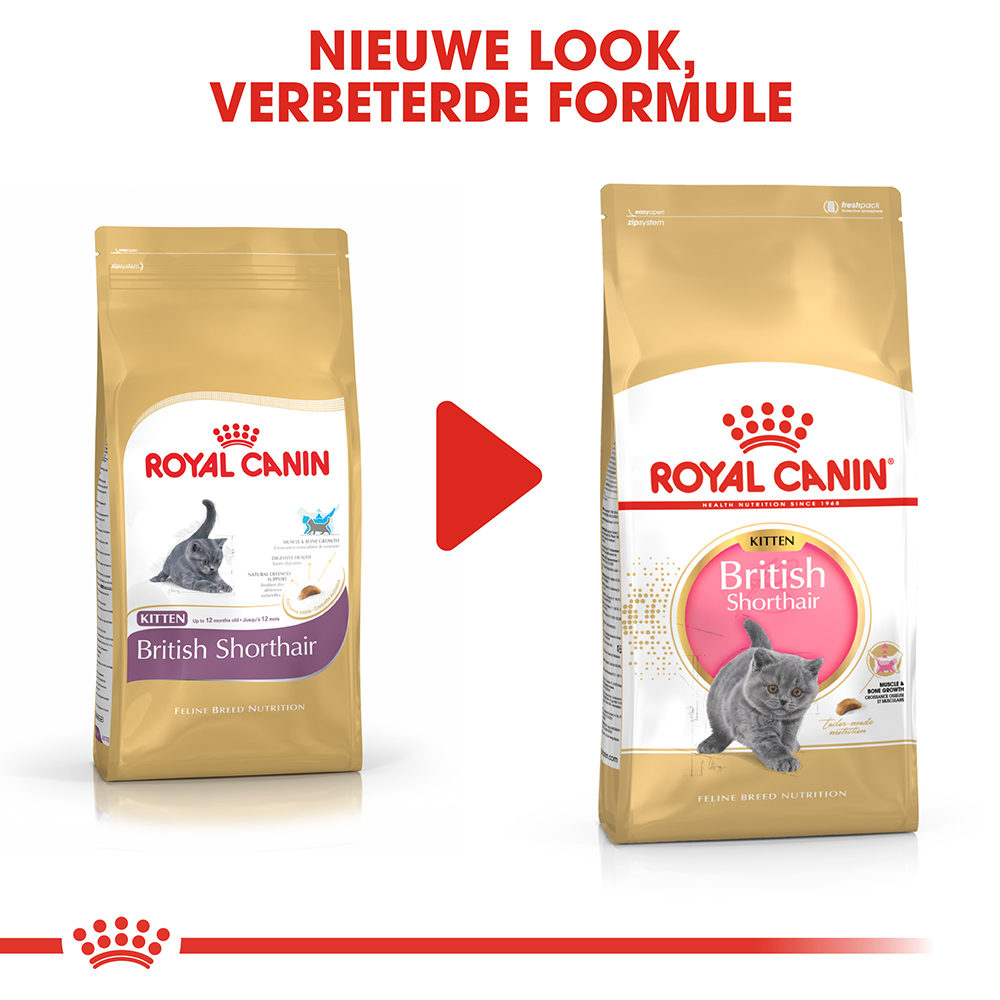 Royal Canin British Shorthair Kitten - Kattenvoer