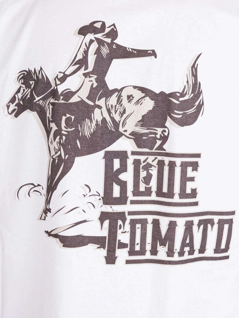 Blue Tomato Yee Haw T-Shirt white