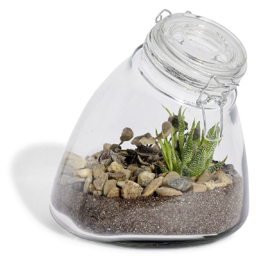 Terrarium bocal Ø20xH23cm