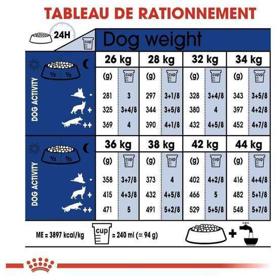 Croquettes chien grande taille de + 5 ans Maxi Adult 5+ 15kg