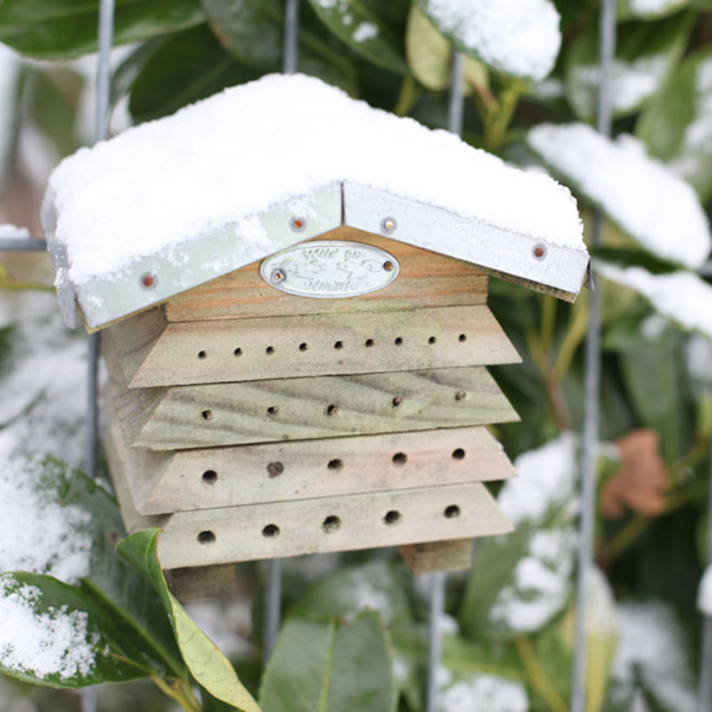 Abris abeilles en forme de ruche